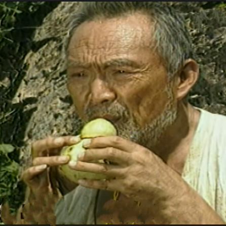 陈宏生