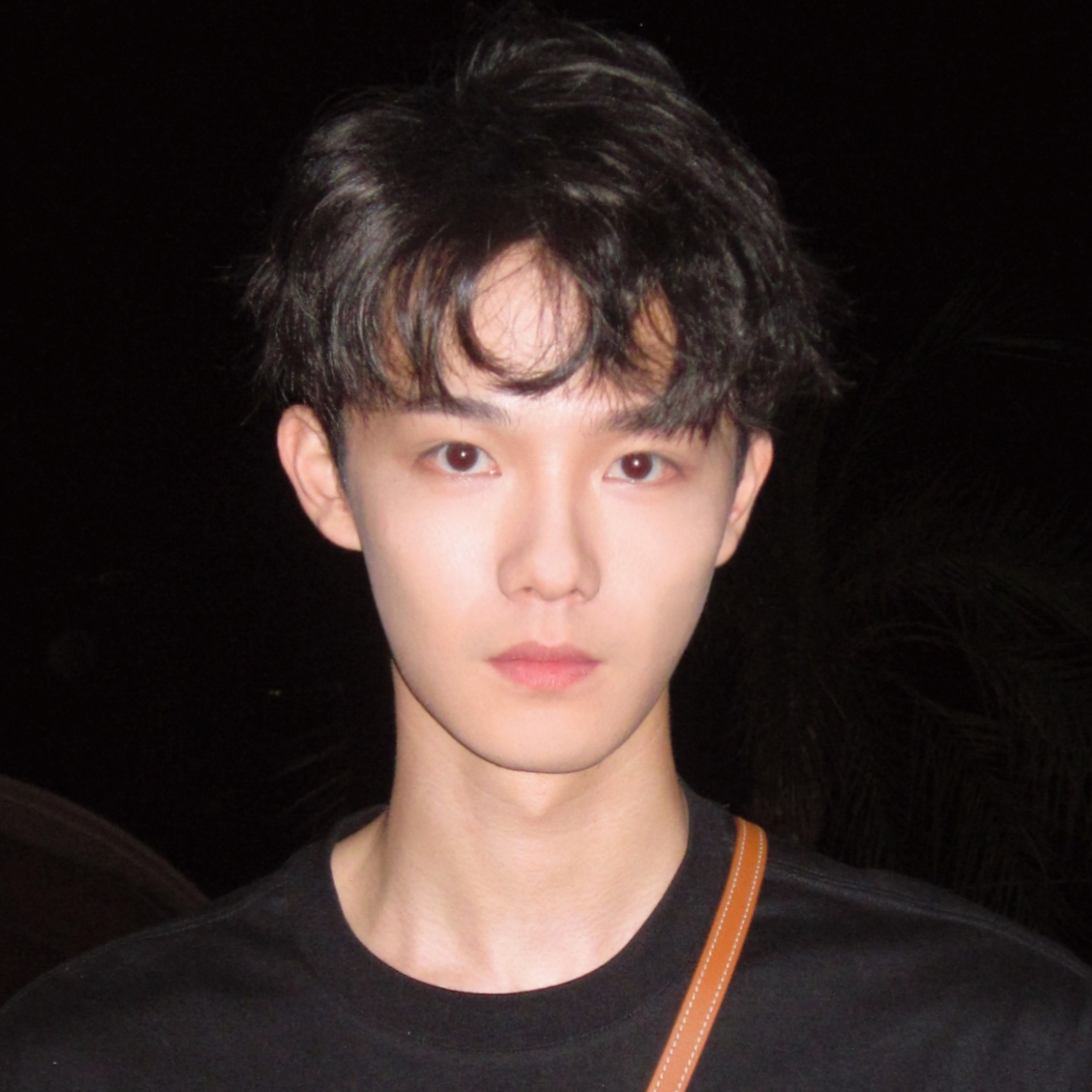 จางเมี่ยนเฉิน