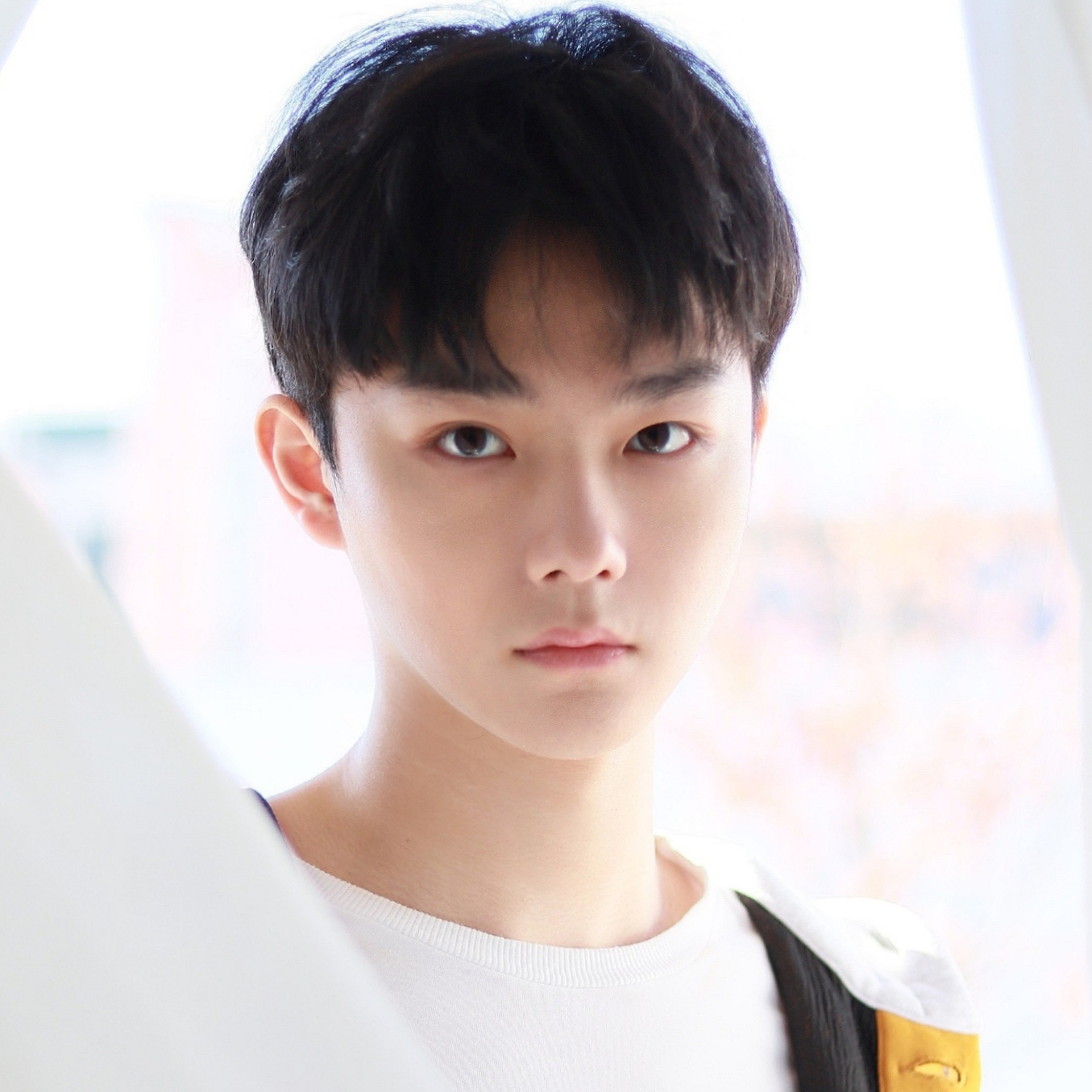 장미안천