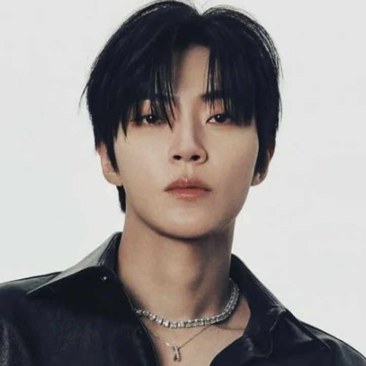 Hwang In Youp