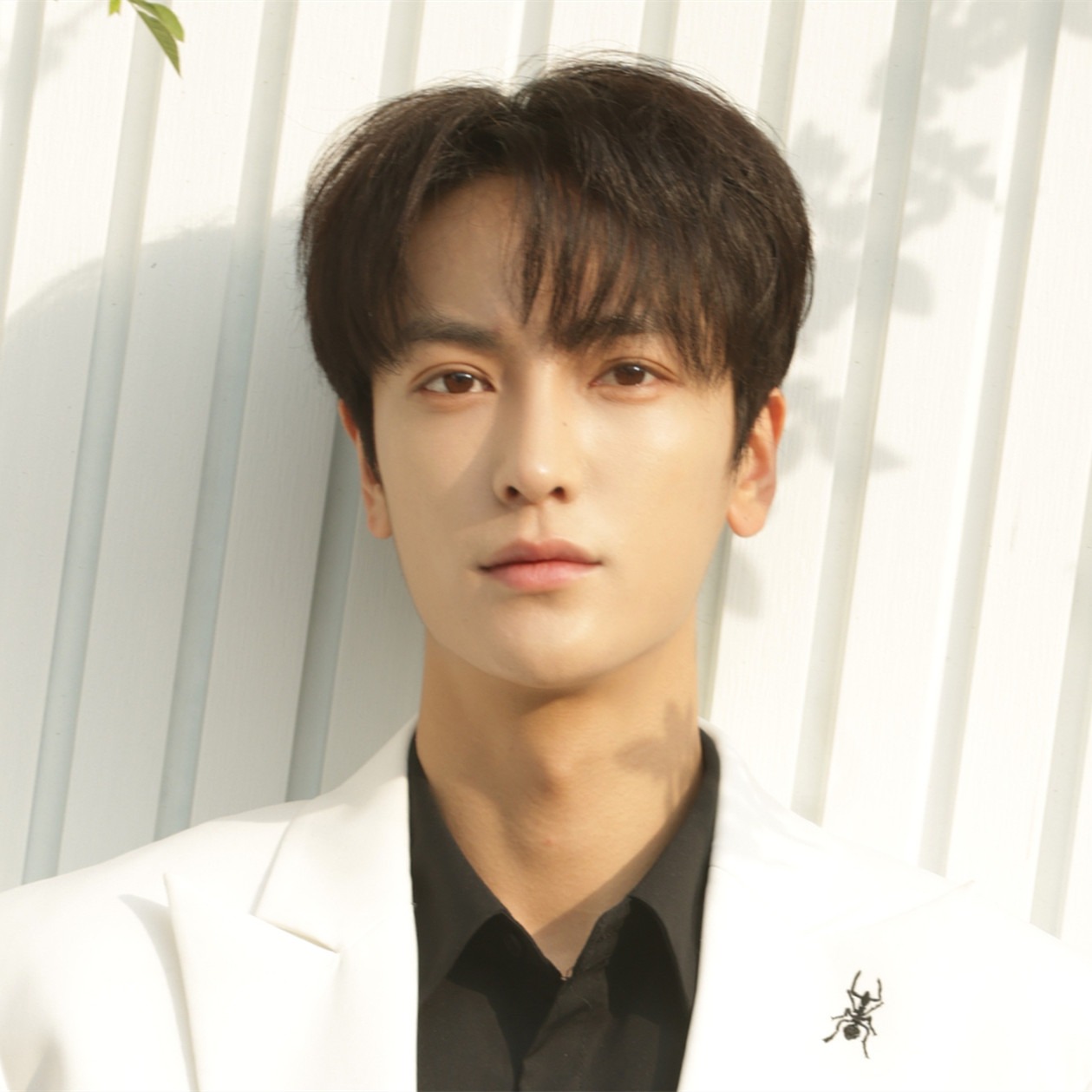 杨梓鑫