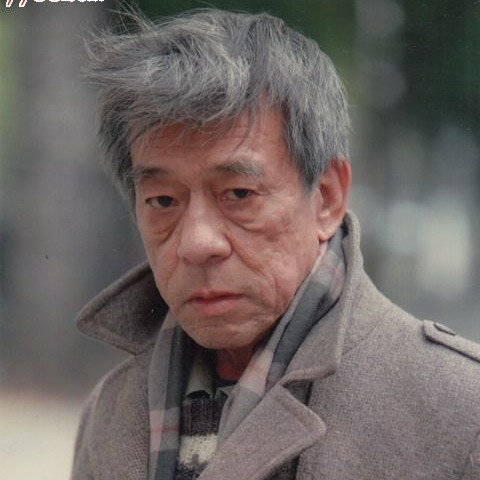 蔡鸿翔